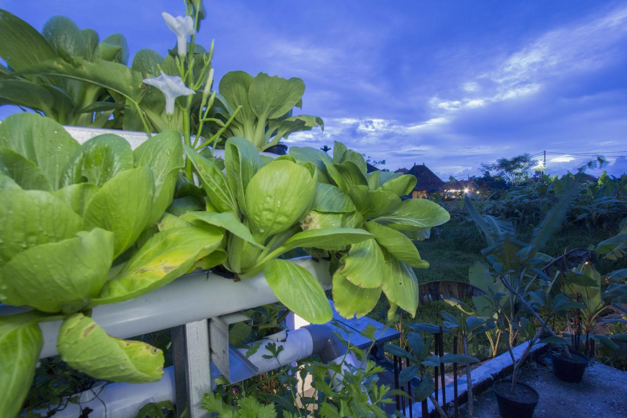 Vinayaka Ubud Екстериор снимка