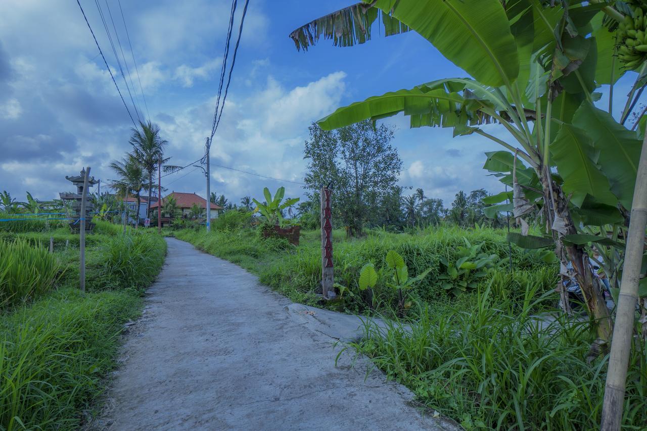 Vinayaka Ubud Екстериор снимка