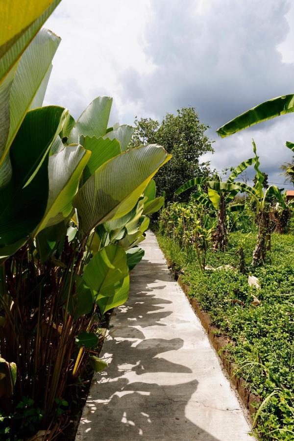 Vinayaka Ubud Екстериор снимка